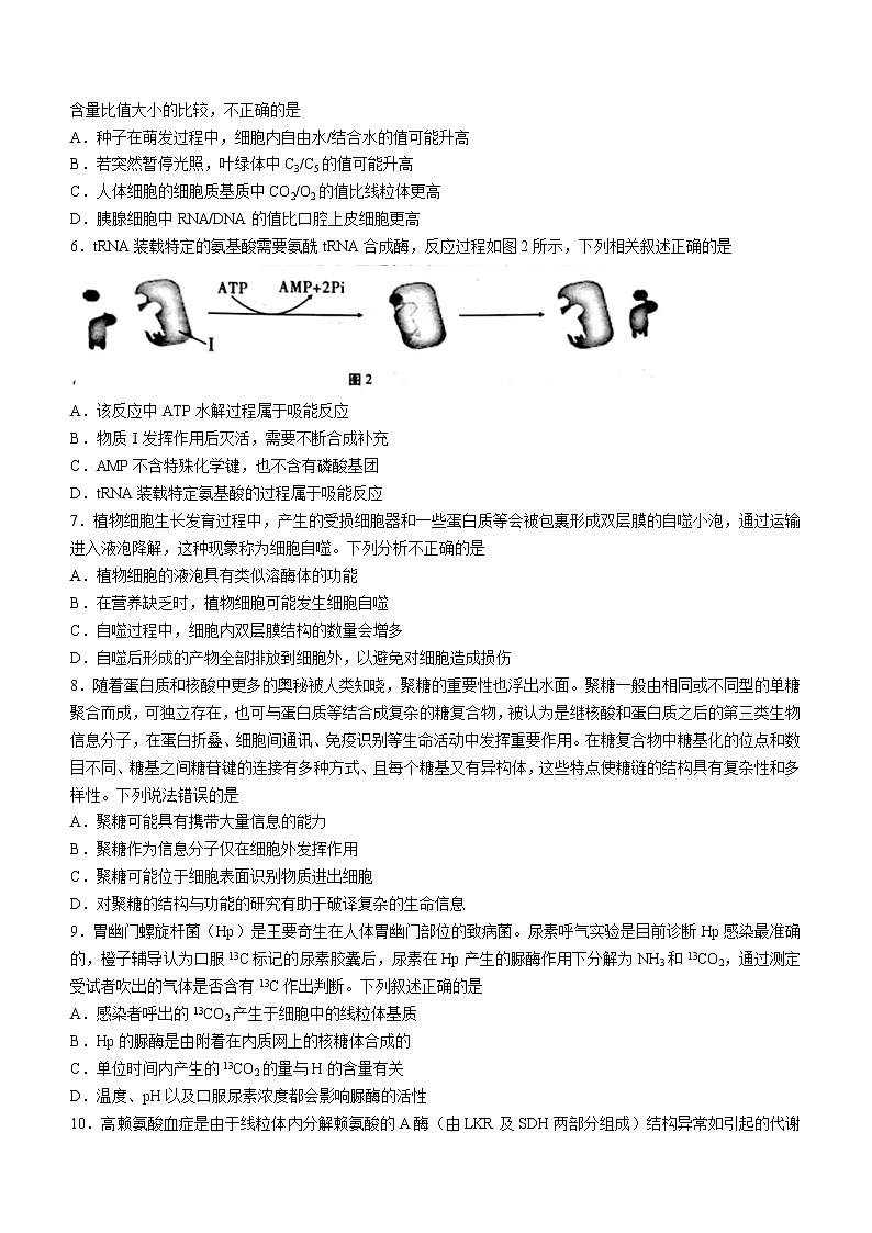 2023重庆市巴蜀中学高三上学期适应性月考（二）生物含答案 试卷02