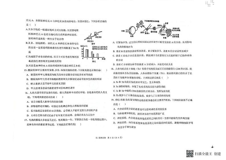 2023省齐齐哈尔八校高二上学期期中考试生物试题PDF版含答案03