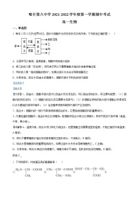 2022喀什六中高一上学期期中考试生物试题含解析