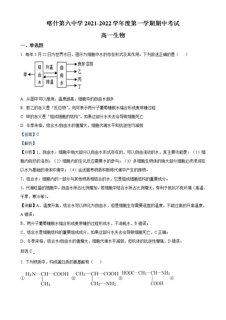 2022喀什六中高一上学期期中考试生物试题含解析01