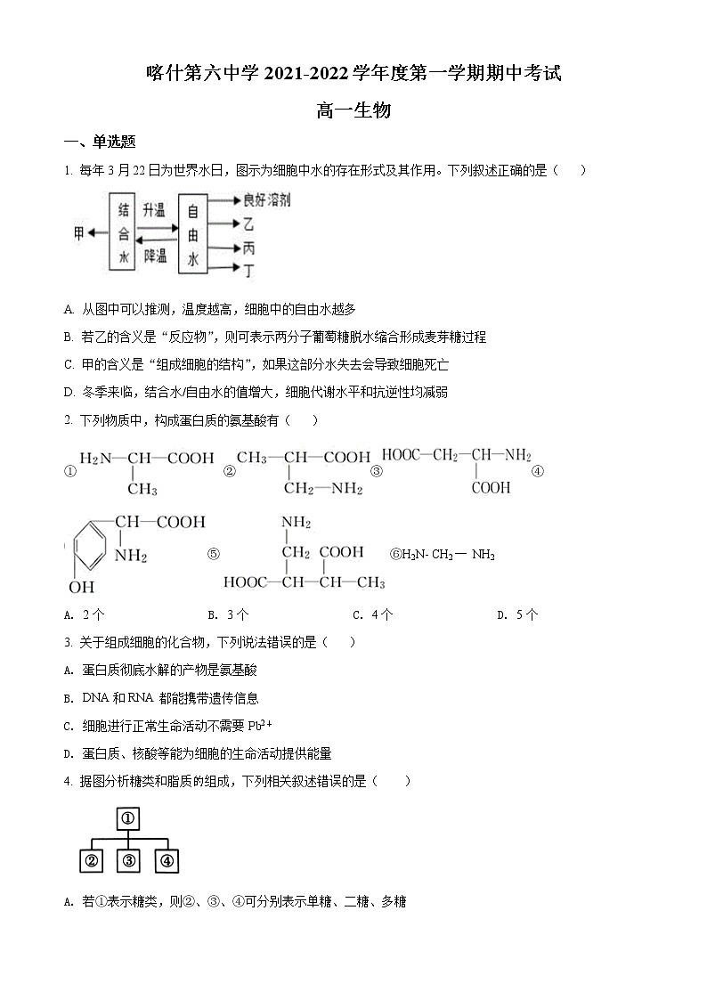 2022喀什六中高一上学期期中考试生物试题含解析01