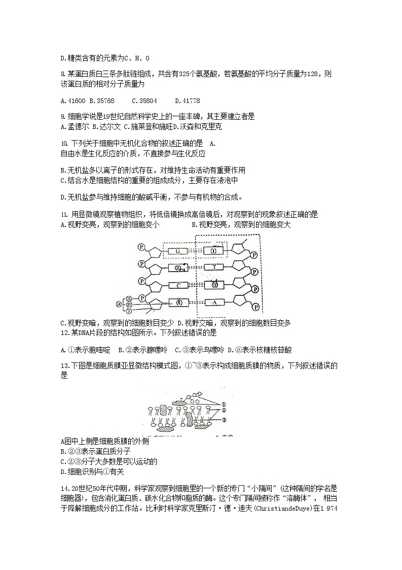 2021南京师大附中高一上学期期中考试生物试卷含答案第2页