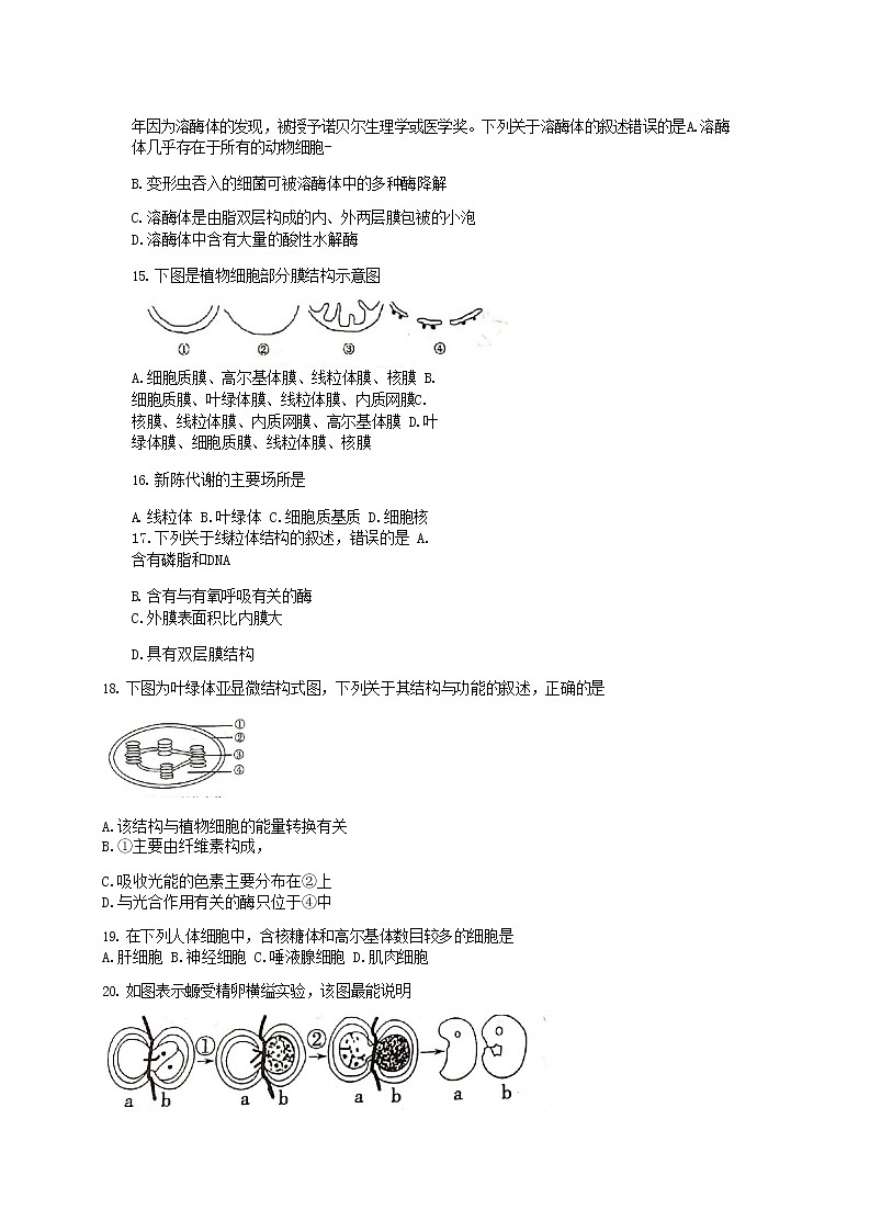 2021南京师大附中高一上学期期中考试生物试卷含答案第3页