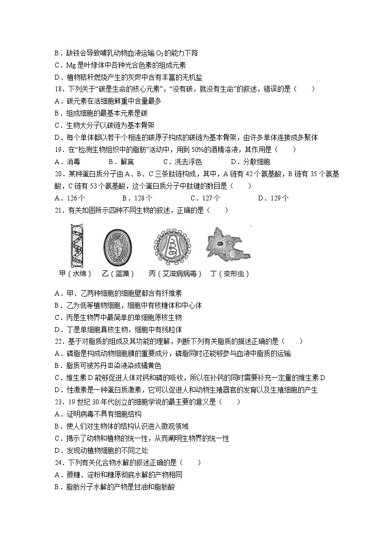 2023西宁北外附属新华联外国语高级中学高一上学期第一次月考生物试题含答案第3页