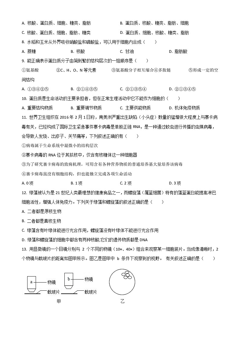 2023宿迁泗阳县实验高级中学高一上学期第一次调研生物试题含解析02
