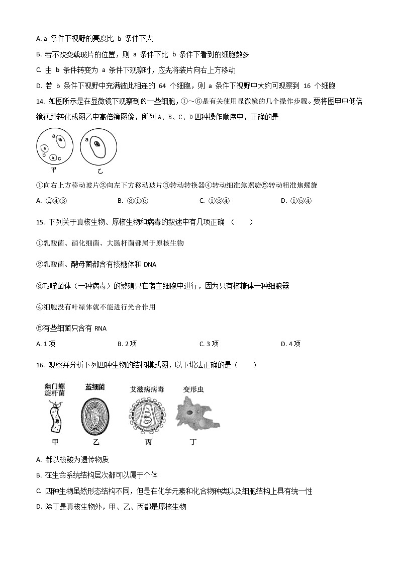 2023宿迁泗阳县实验高级中学高一上学期第一次调研生物试题含解析03
