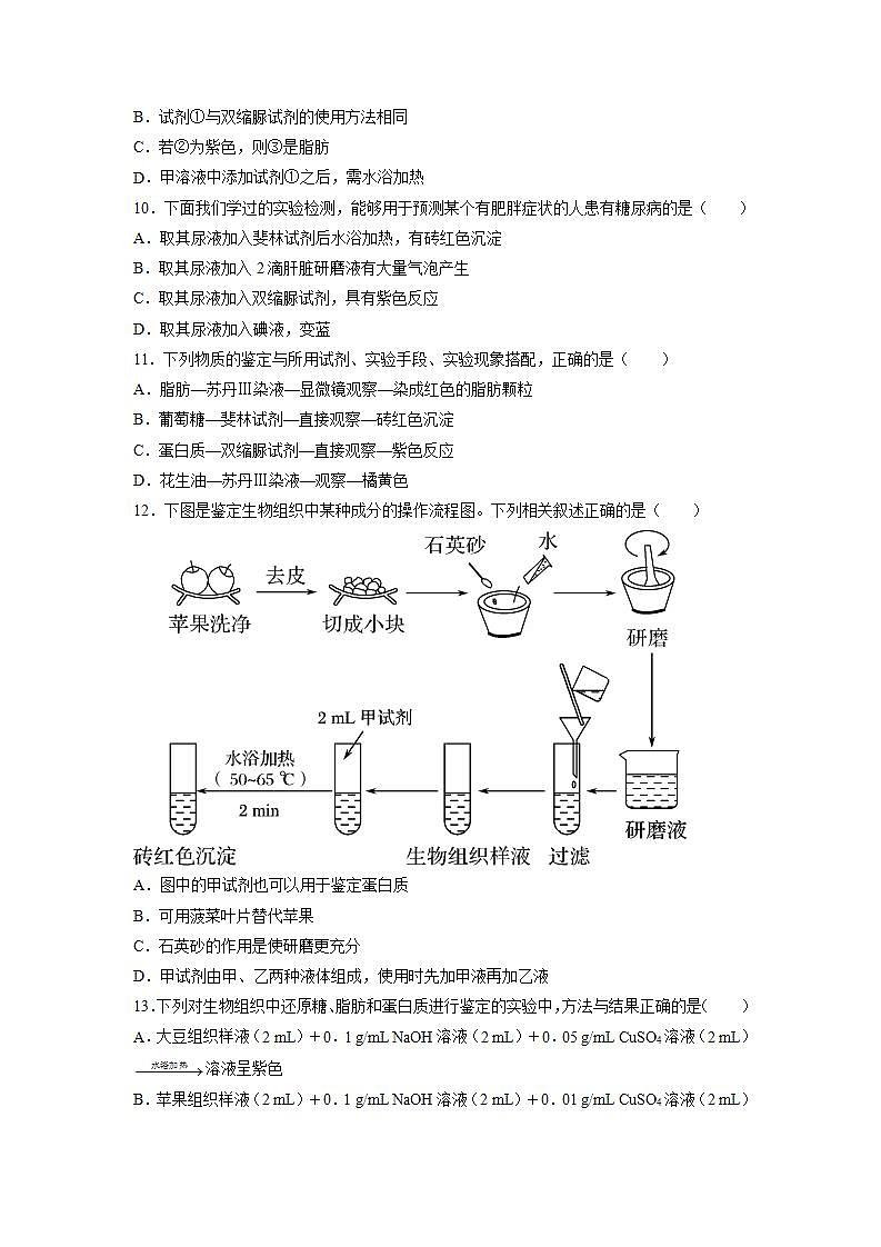2.1 细胞的元素和化合物-高中生物 课件+练习（人教版2019 必修一）03