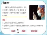 2.4 蛋白质是生命活动的主要承担者-高中生物 课件+练习（人教版2019 必修一）