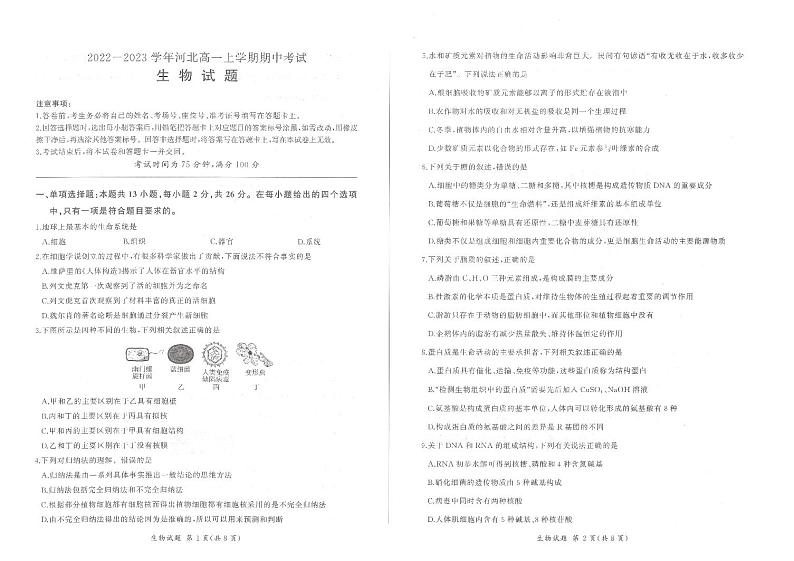 2023河北省高一上学期期中考试生物试题扫描版含解析01