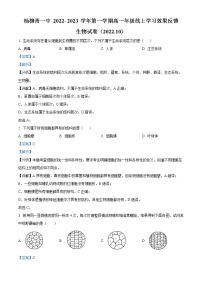 2023天津西青区杨柳青一中高一上学期线上学习效果反馈生物试题含解析