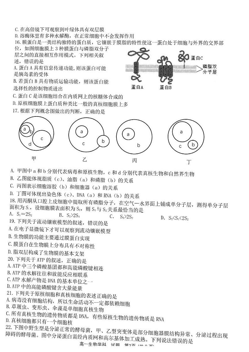 2023温州环大罗山联盟高一上学期期中考试生物PDF版含答案第3页