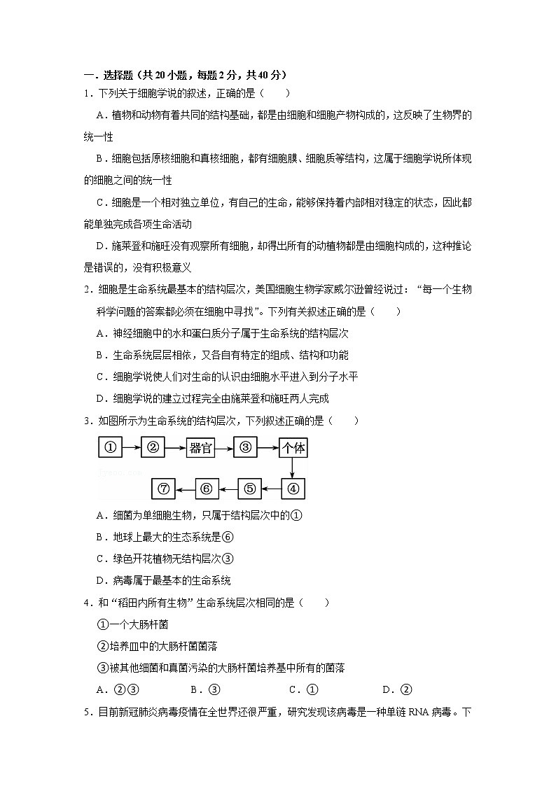细胞是生命活动的基本单位练习题附带详细解析01