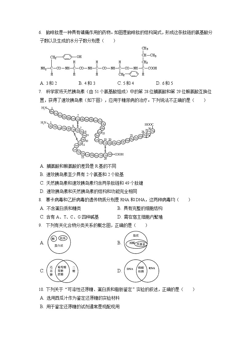 2022-2023学年北京市丰台区高一（上）期中生物试卷（含答案解析）02