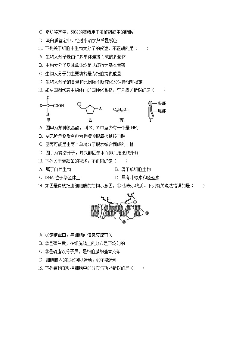 2022-2023学年北京市丰台区高一（上）期中生物试卷（含答案解析）03