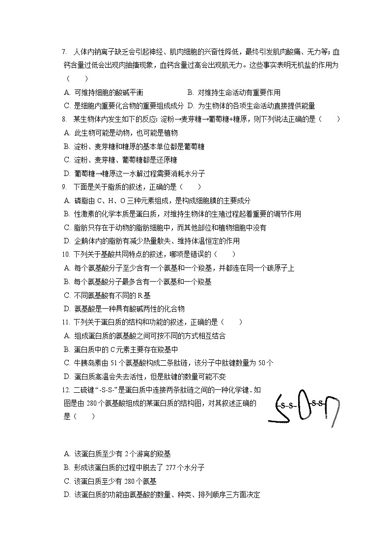 2022-2023学年广东省东莞市高一（上）期中生物试卷（含答案解析）02