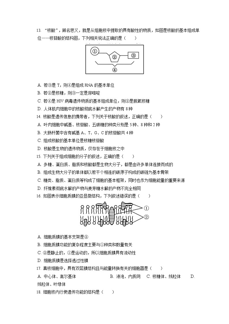2022-2023学年广东省东莞市高一（上）期中生物试卷（含答案解析）03
