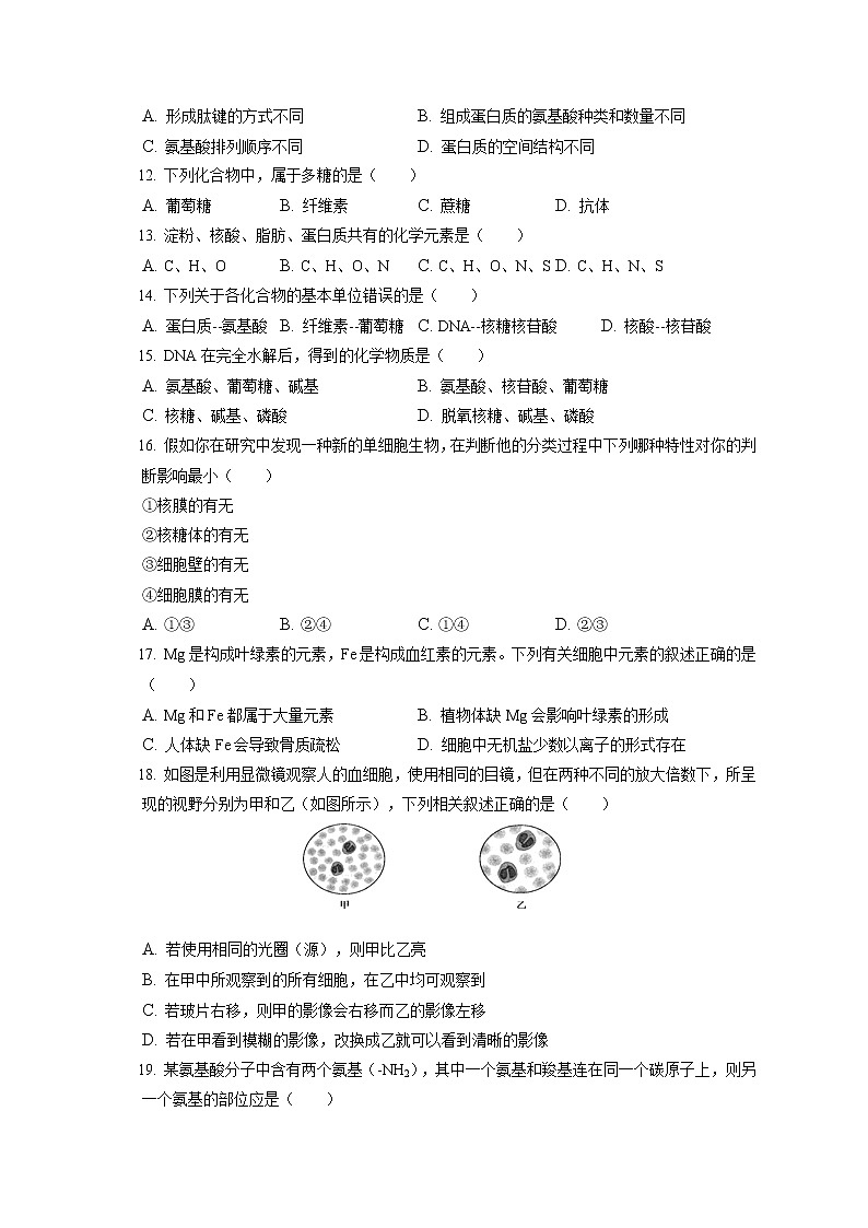 2022-2023学年宁夏吴忠市红寺堡区罗山中学高一（上）期中生物试卷（含答案解析）02