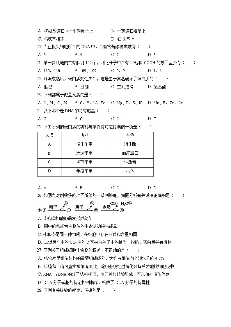 2022-2023学年宁夏吴忠市红寺堡区罗山中学高一（上）期中生物试卷（含答案解析）03