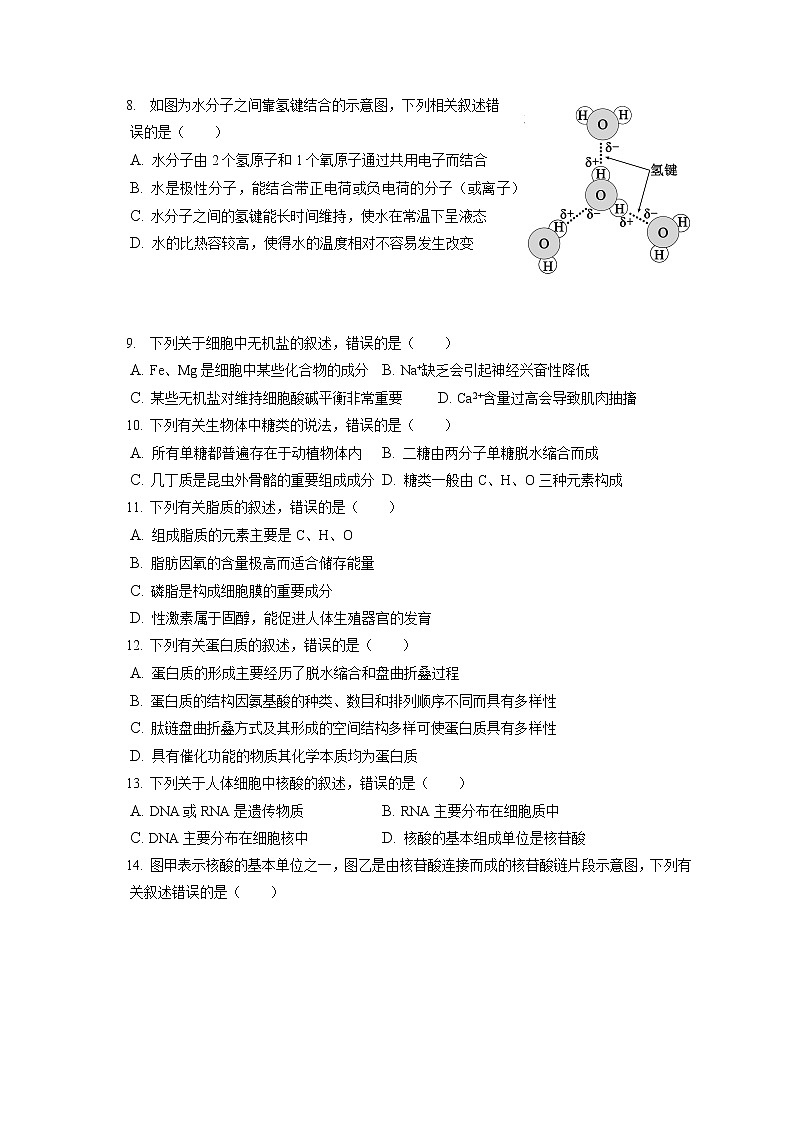 2022-2023学年四川省成都市蓉城名校联盟高一（上）期中生物试卷（含答案解析） (1)02
