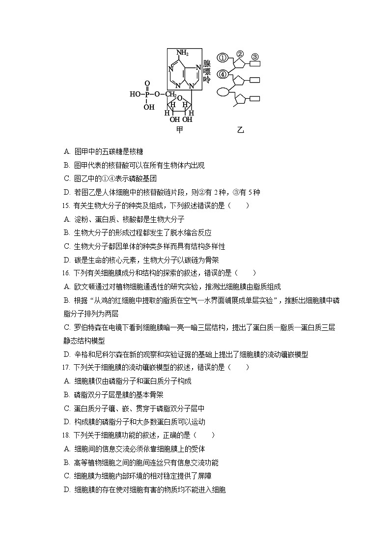 2022-2023学年四川省成都市蓉城名校联盟高一（上）期中生物试卷（含答案解析） (1)03