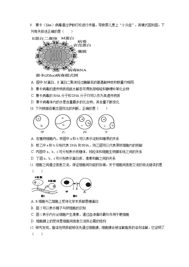 2022-2023学年天津三中高一（上）期中生物试卷（含答案解析）03