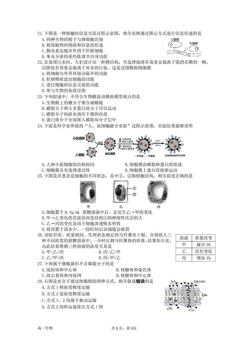 江苏省淮安市高中校协作体2022-2023高一生物上学期期中考试试卷（Word版附答案）第3页