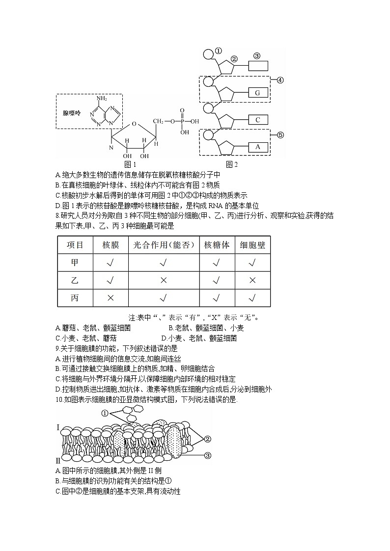 贵州省黔东南六校联盟2022-2023学年高一生物上学期期中联考试卷（Word版附答案）第2页