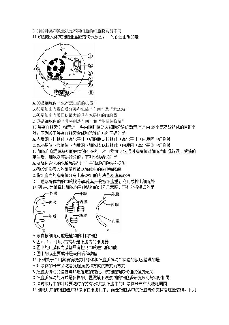 贵州省黔东南六校联盟2022-2023学年高一生物上学期期中联考试卷（Word版附答案）第3页