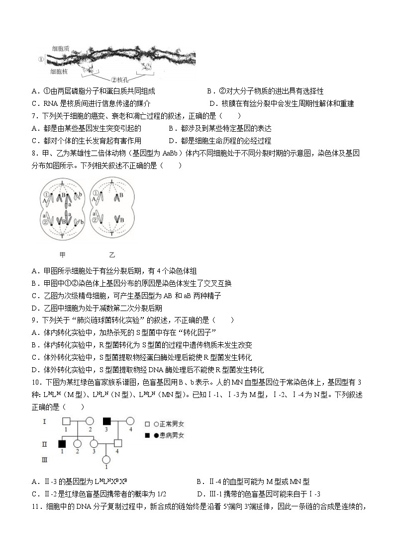 北京师范大学附中实验中学2022-2023学年高三上学期期中生物试题（含答案）02