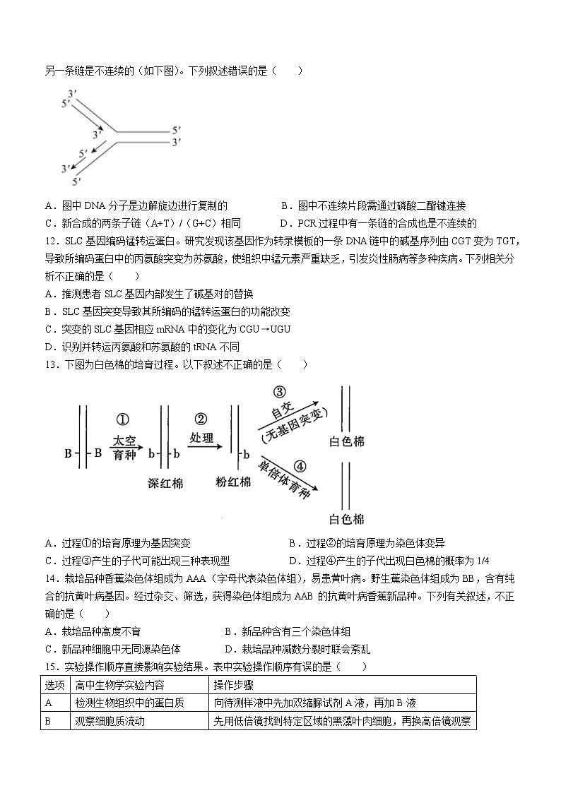 北京师范大学附中实验中学2022-2023学年高三上学期期中生物试题（含答案）03