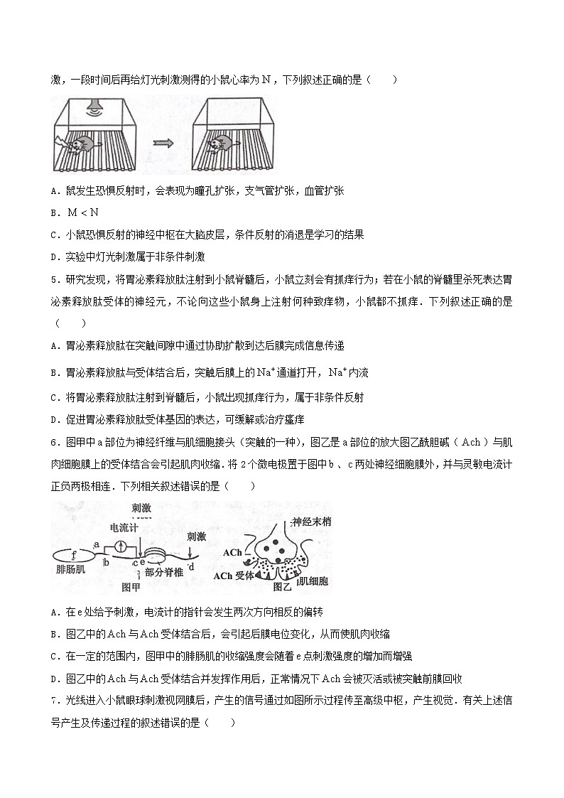 山东省东阿县第一中学2022-2023学年高二上学期期中模拟A卷生物试题（含答案）02