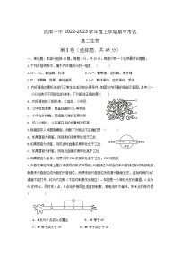 山东省临沂市洮南市第一中学2022-2023学年高二上学期期中考试生物试卷（含答案）