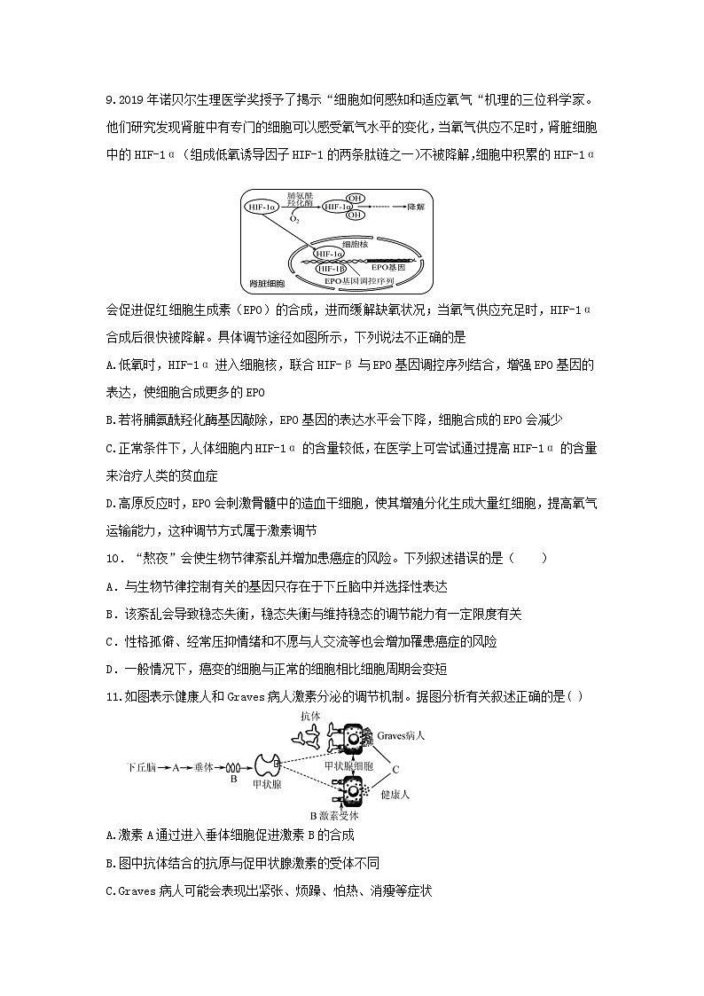 山东省临沂市洮南市第一中学2022-2023学年高二上学期期中考试生物试卷（含答案）03