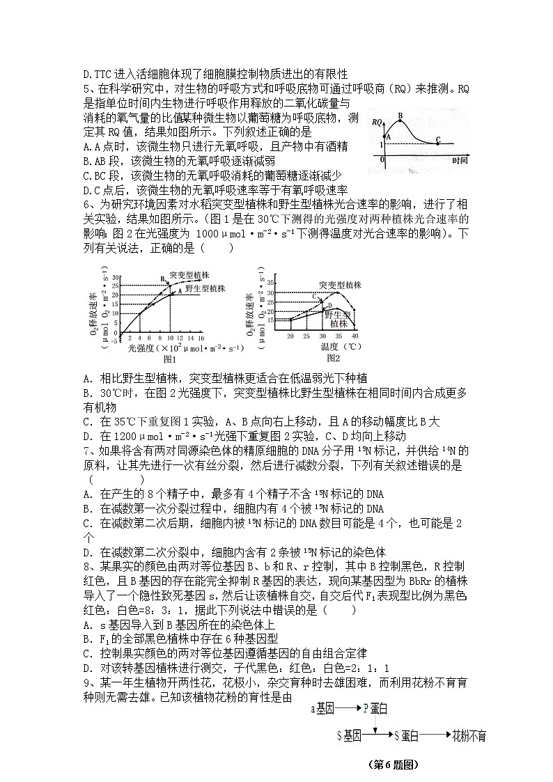 山东省蒙阴第一中学2022-2023学年高三上学期期中考试生物试题（含答案）第2页