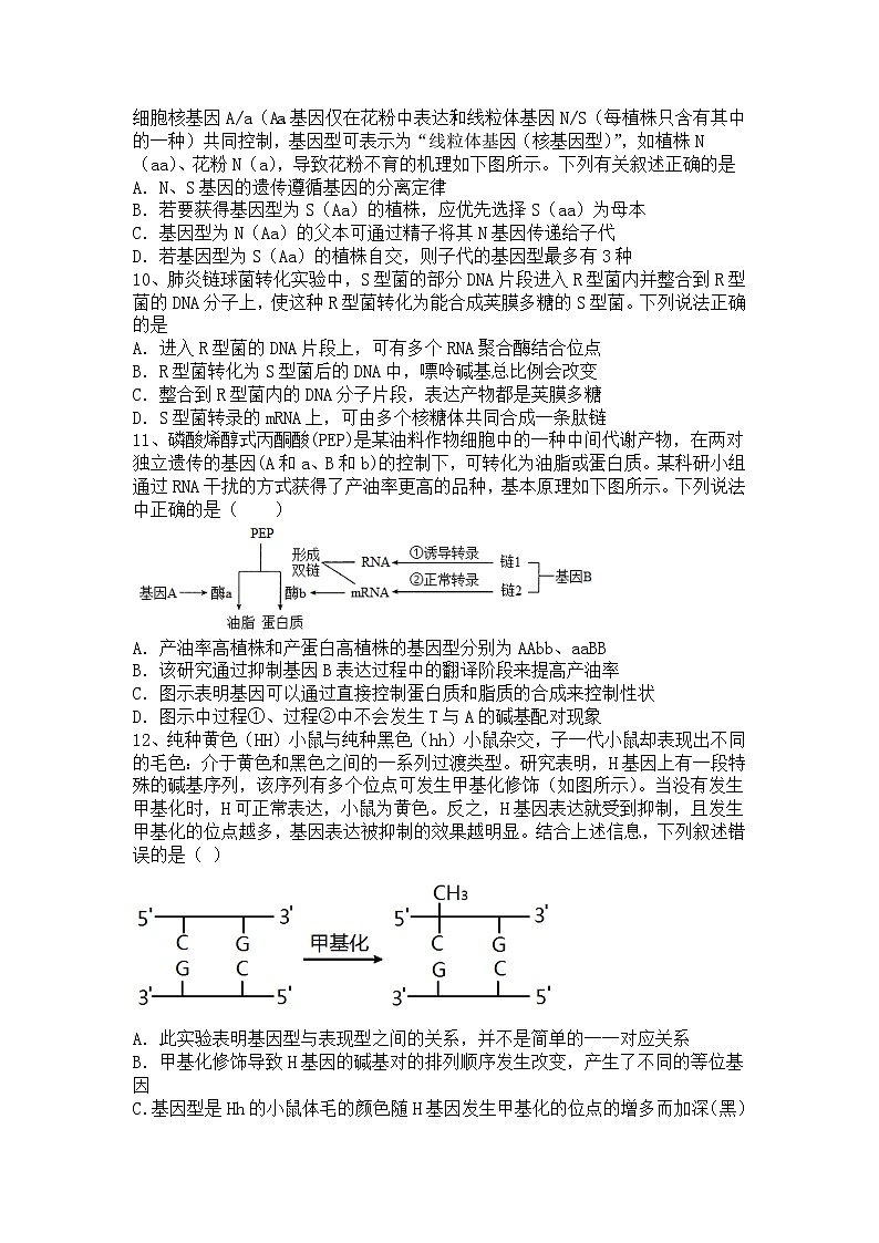 山东省蒙阴第一中学2022-2023学年高三上学期期中考试生物试题（含答案）第3页