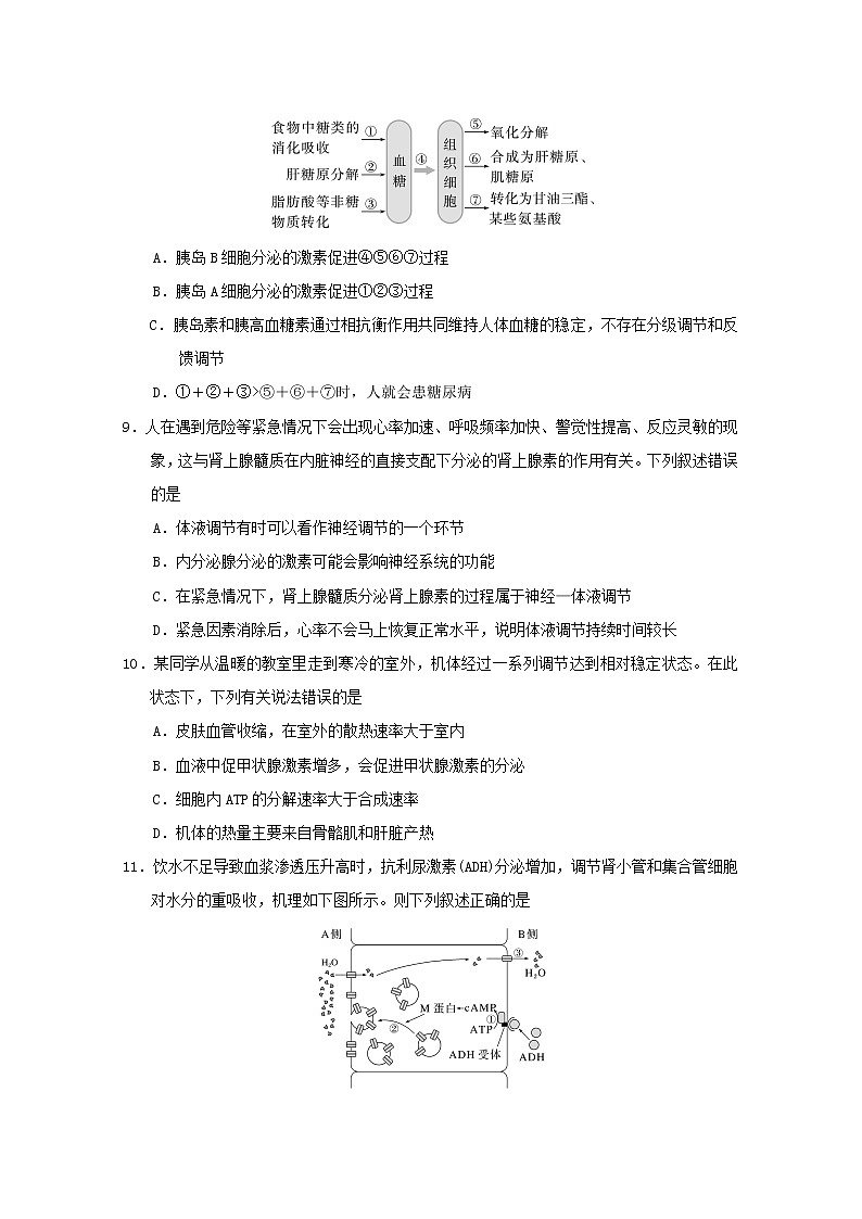 江苏省盐城市滨海县东元高级中学、射阳高级中学等三校2022-2023学年高二生物上学期期中试卷（Word版附答案）第3页