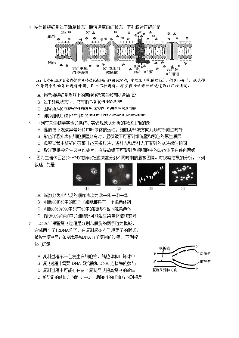 江苏省苏州市2023届高三生物上学期期中考试试卷（Word版附答案）02