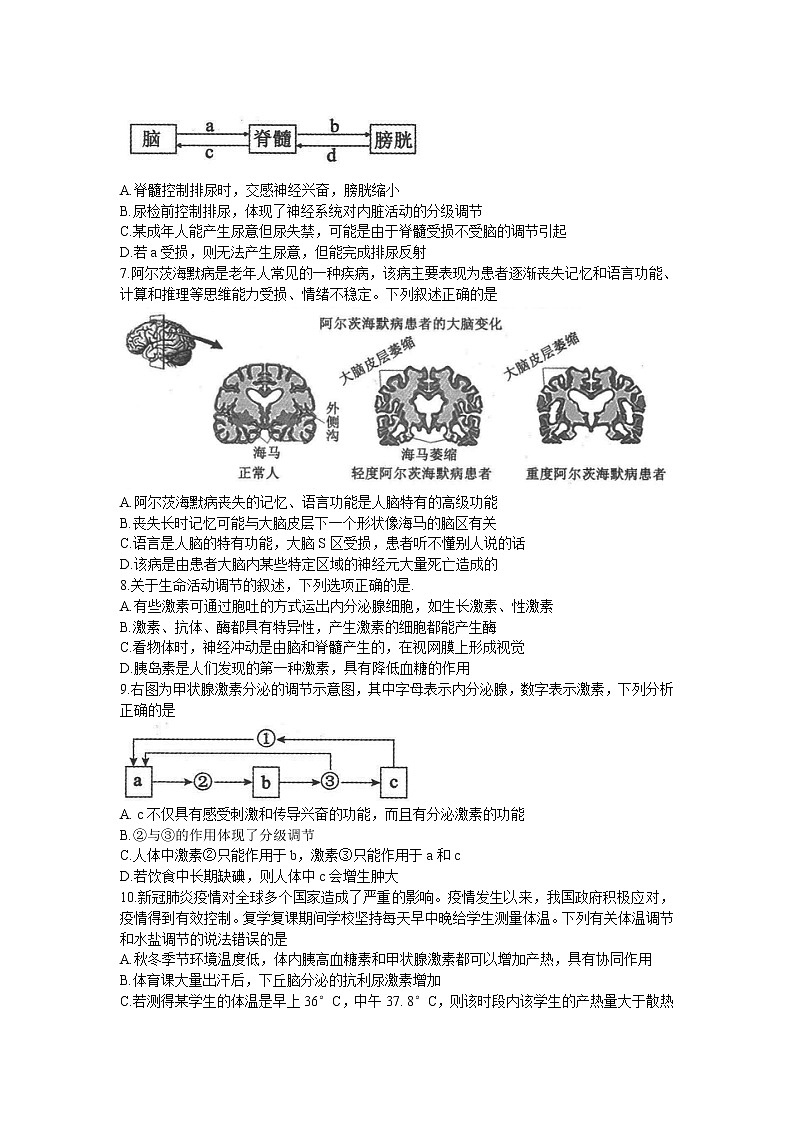 河南省许平汝联盟2022-2023学年高二生物上学期期中联考试题（Word版附答案）第2页