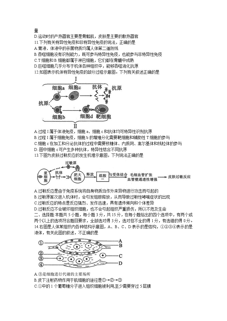 河南省许平汝联盟2022-2023学年高二生物上学期期中联考试题（Word版附答案）第3页