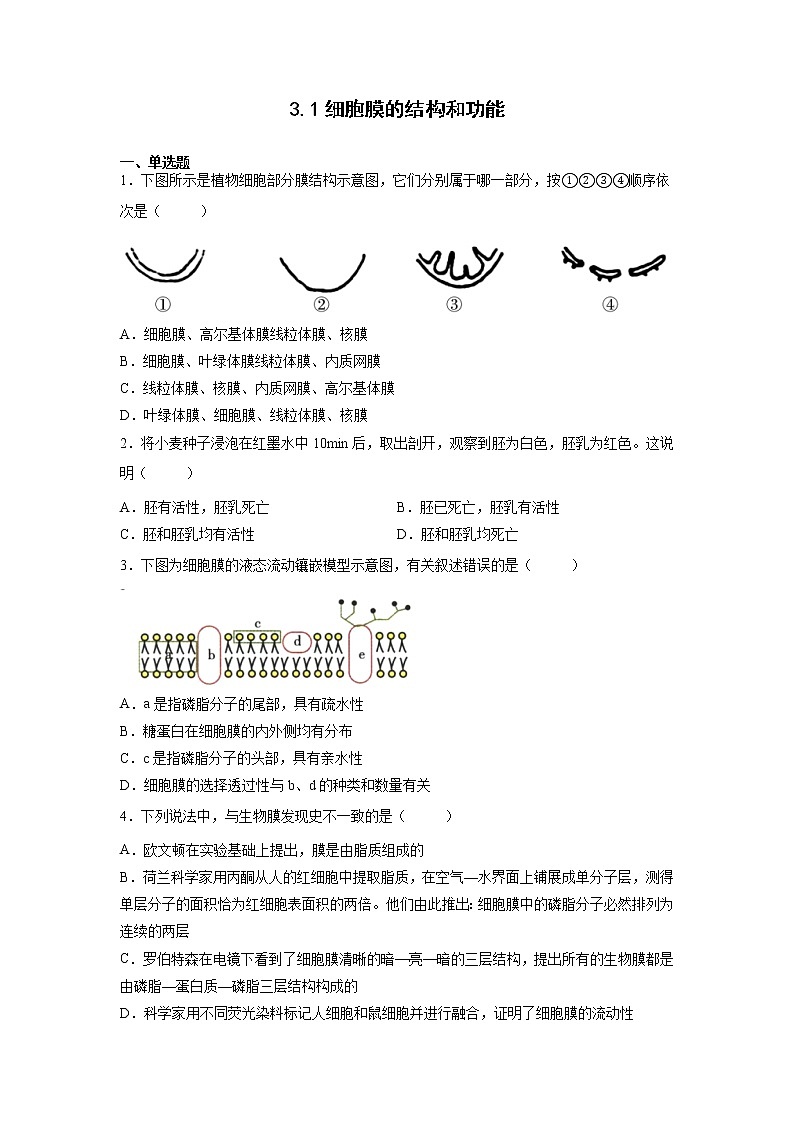 3.1 细胞膜的结构和功能第1页