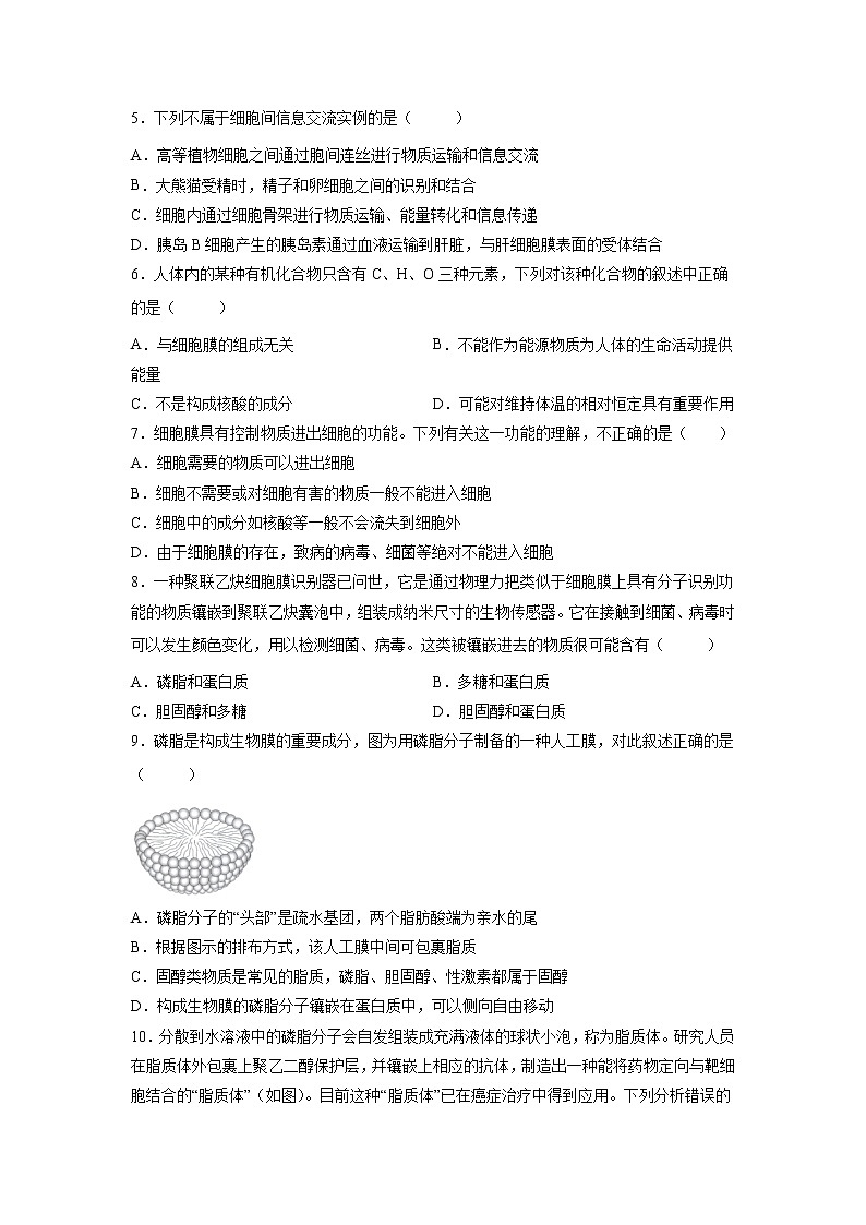 3.1 细胞膜的结构和功能第2页