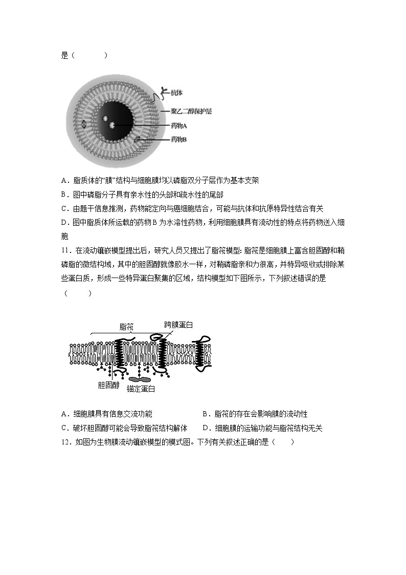 3.1 细胞膜的结构和功能第3页