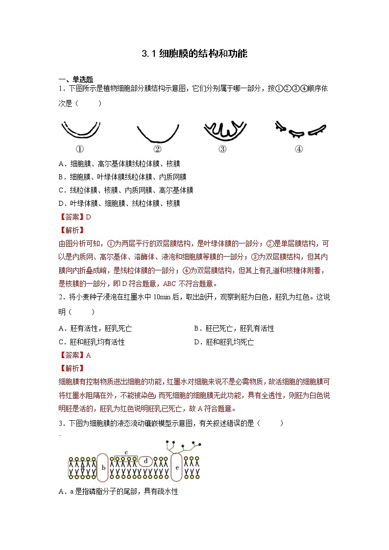 3.1 细胞膜的结构和功能（含答案解析）第1页