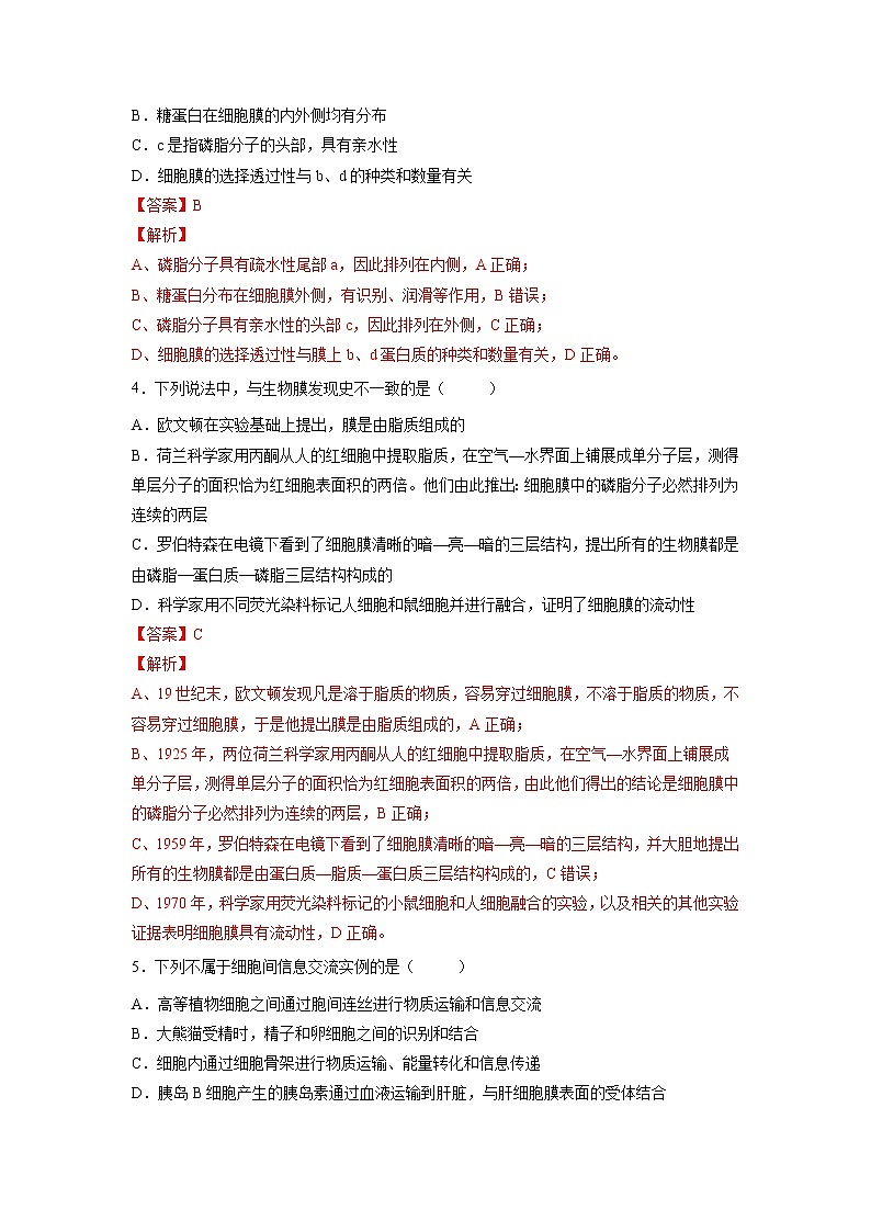 3.1 细胞膜的结构和功能（含答案解析）第2页