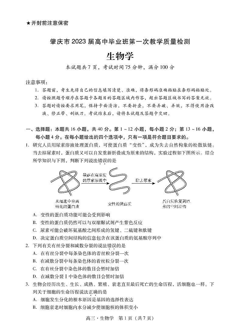 2023届广东省肇庆市第一中学高中毕业班第一次教学质量检测生物试卷含答案01