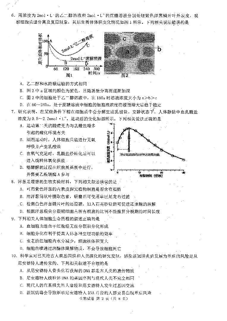 2023连云港高三上学期期中生物试题PDF含答案02
