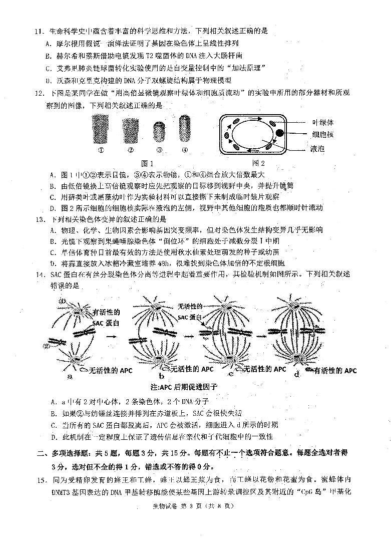 2023连云港高三上学期期中生物试题PDF含答案03