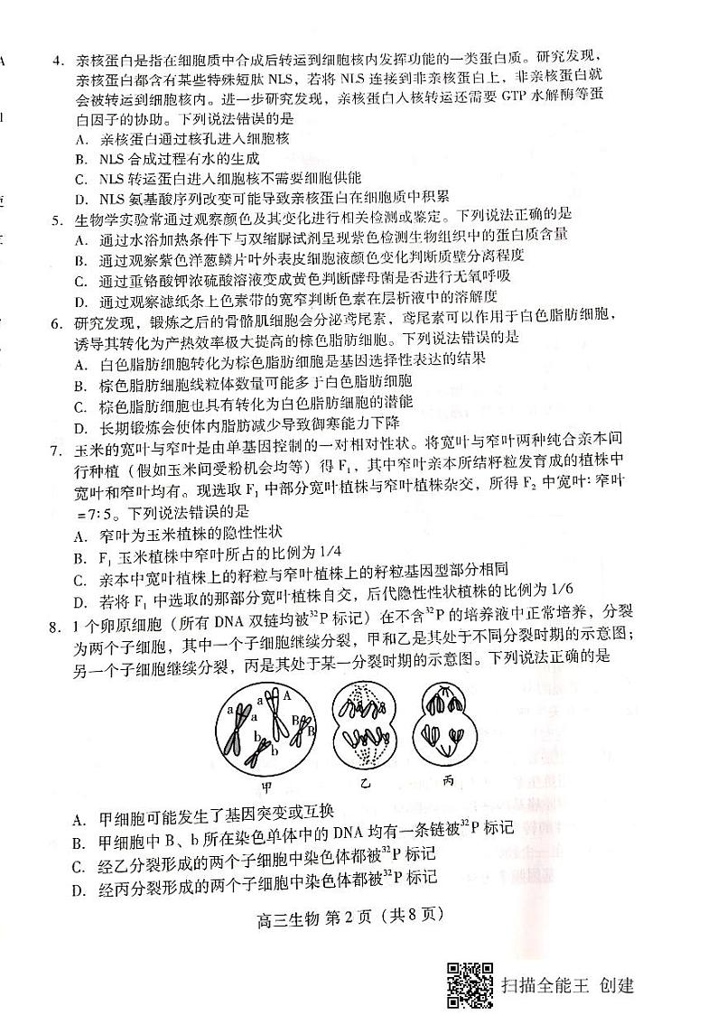 2023潍坊高三上学期期中考试生物试题扫描版无答案02