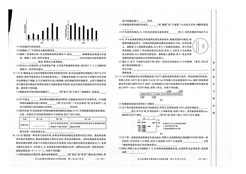 2023龙岩一级校联盟（九校）高三上学期11月期中联考试题生物图片版含答案第3页