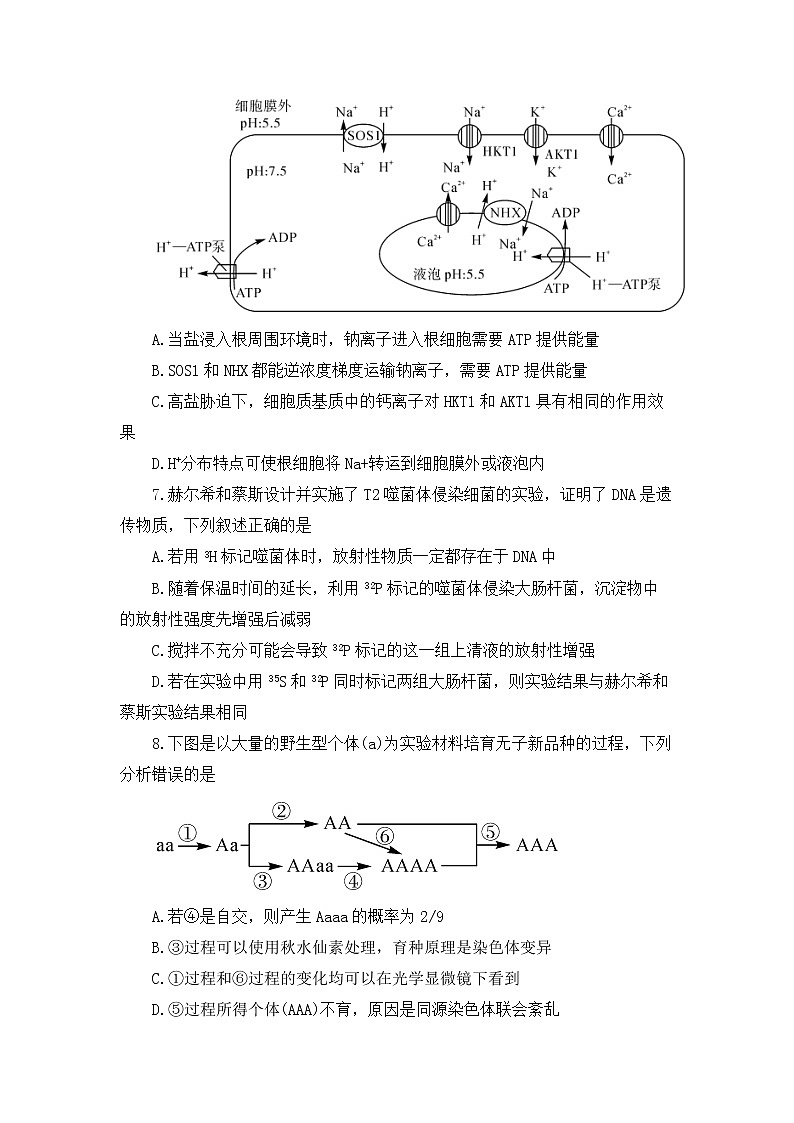 2023湖南省五市十校教研教改共同体、三湘名校教育联盟、湖湘名校教育联合体高二上学期期中考试生物试题含答案03